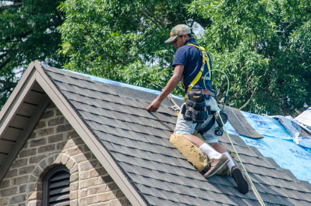 Best Gutter Installation and Roofing  in Fletcher, OK